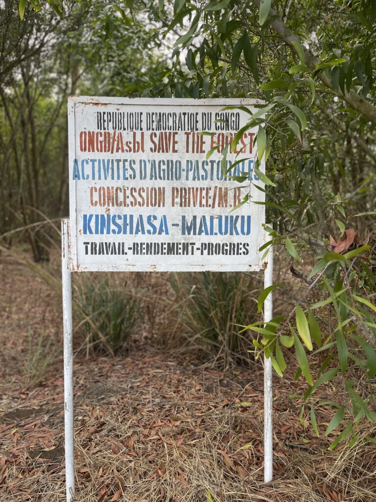 Save The Forest République Démocratique du Congo RDC Association Africaine pour la reforestation et l'écologie (1)