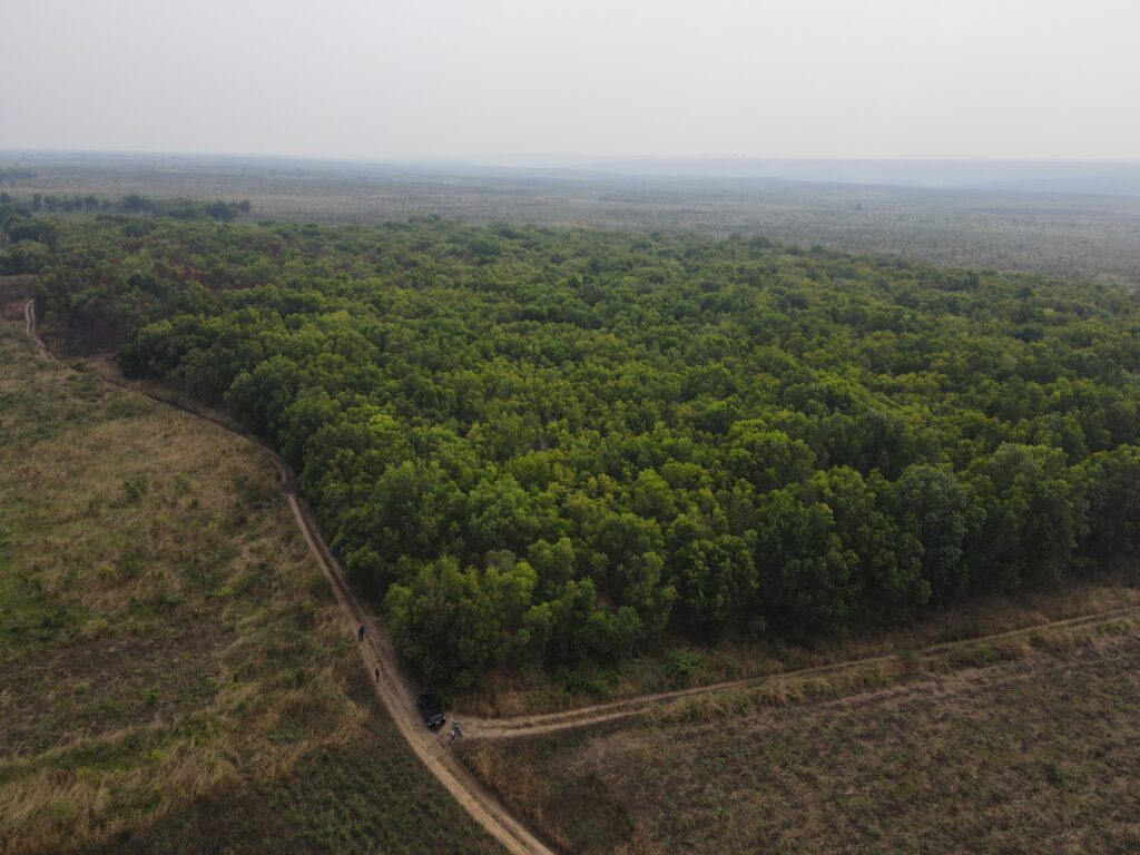 Save The Forest République Démocratique du Congo RDC Association Africaine pour la reforestation et l'écologie (7)